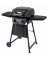 Classic280 LP Gas Grill