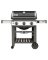 GenIIE310 BLK NAT Grill