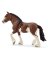 BRN/WHT Clydesdale Mare