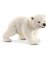 WHT Polar Bear Cub