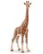 Tan Female Giraffe