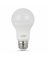 4PK 6W WHT LED Bulb