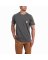 100410 FORCE COTTON DELMONT SS T