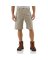 SZ42 TAN Canv Shorts