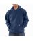 LG REG NAVY Mens Hoody