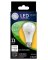 GE LED 12W A21 Bulb