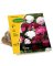 GT 3CT Peony Bulbs