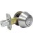 TG/SS DBL Cyl Deadbolt