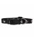 3/4x8-14 BLK Paw Collar