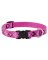 3/4x9-14 PL Dog Collar