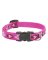 1/2x8-12 PL Dog Collar