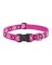 1x12-20 PL Dog Collar