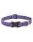 3/4x9-14 Lil Dog Collar