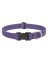 1x12-20 Lil Dog Collar