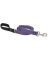 1x6 Lil Dog Leash