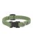 1/2x8-12MOSS Dog Collar