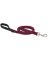 3/4x6 BERR Dog Leash