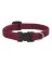 1/2x8-12BERR Dog Collar