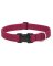 1x16-28 BERR Dog Collar