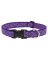 1x12-20 JR Dog Collar