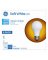 GE6PK 8W SW A19 Bulb