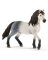 WHT/BLK Andalusian Mare