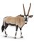 Schleich Oryx