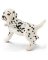 BLK/WHT Dalmatian Puppy