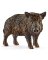 BLK Wild Boar