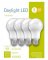 4PK 6W Daylight A19 LED Bulb