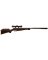 Quest NP Air Rifle