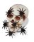 BLK Mini Hairy Spiders