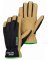 Mens XL Czone II Glove