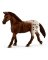 BRN Appaloosa Mare