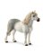 WHT Welsh Pony Stallion