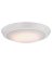 11"WHT LED Ceil Fixture