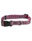 1x16-26 PNK Dog Collar