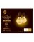 GE 2PK 5.5W WW G25 Bulb