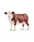 BRN/WHT Hereford Cow