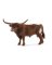 Texas Longhorn Bull