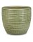 6.25" Menta Planter