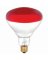 E32829  Lamp 250W R40 RED