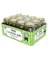 12PK QT Smooth Can Jar