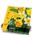 GT 20CT Daffodil Bulbs