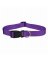 1x16-26 PURP Dog Collar