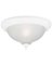 11 3/4" WHT Ceil Fixture