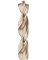 29/64"SplitPT Drill Bit