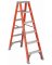 6' FBG 1A Twin Ladder