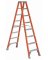 8' FBG IA Twin Ladder