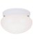 1-Bulb White Ceiling Fixture